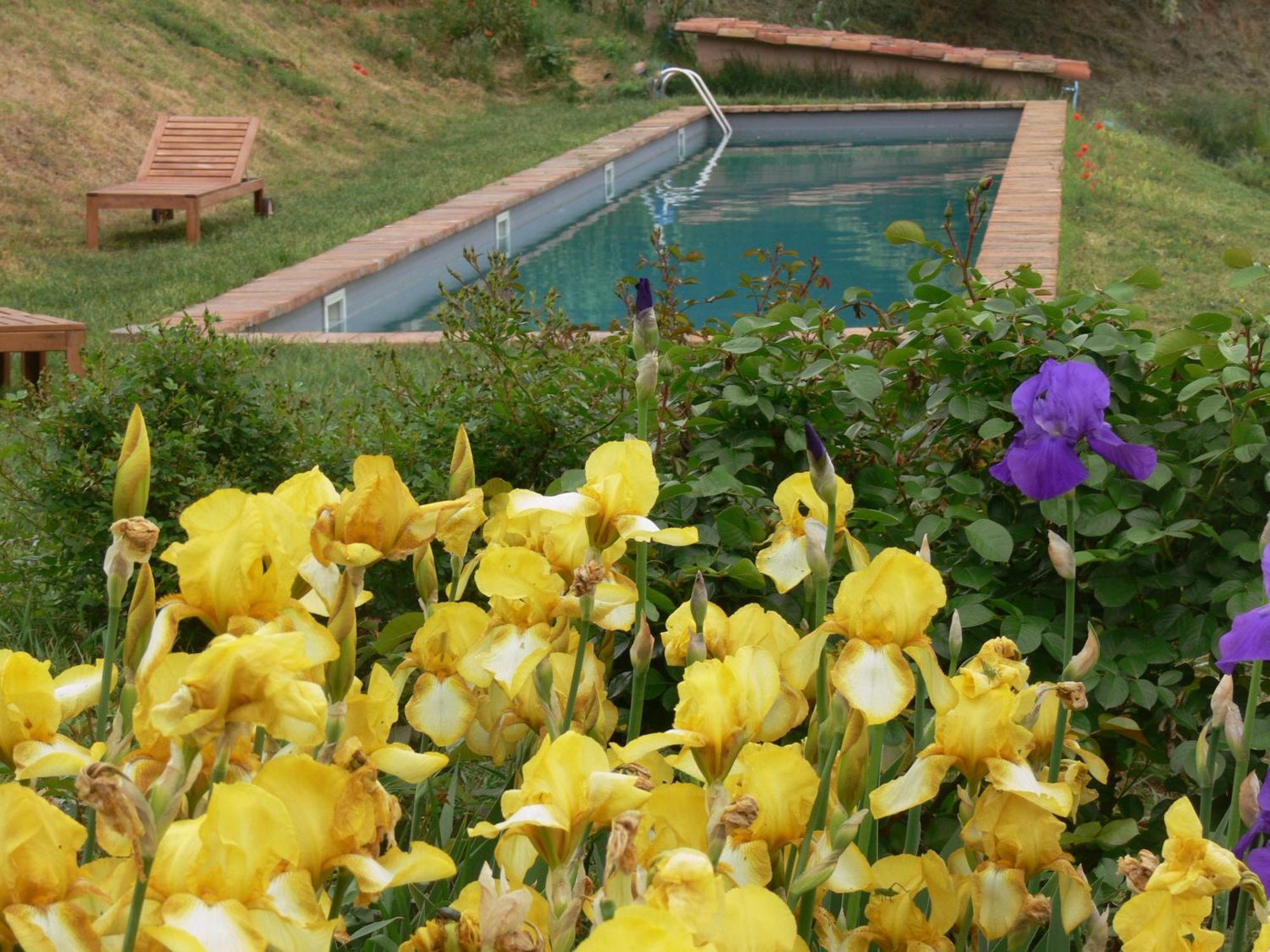 Casa Isabella Guest House Vaglio Serra Bagian luar foto