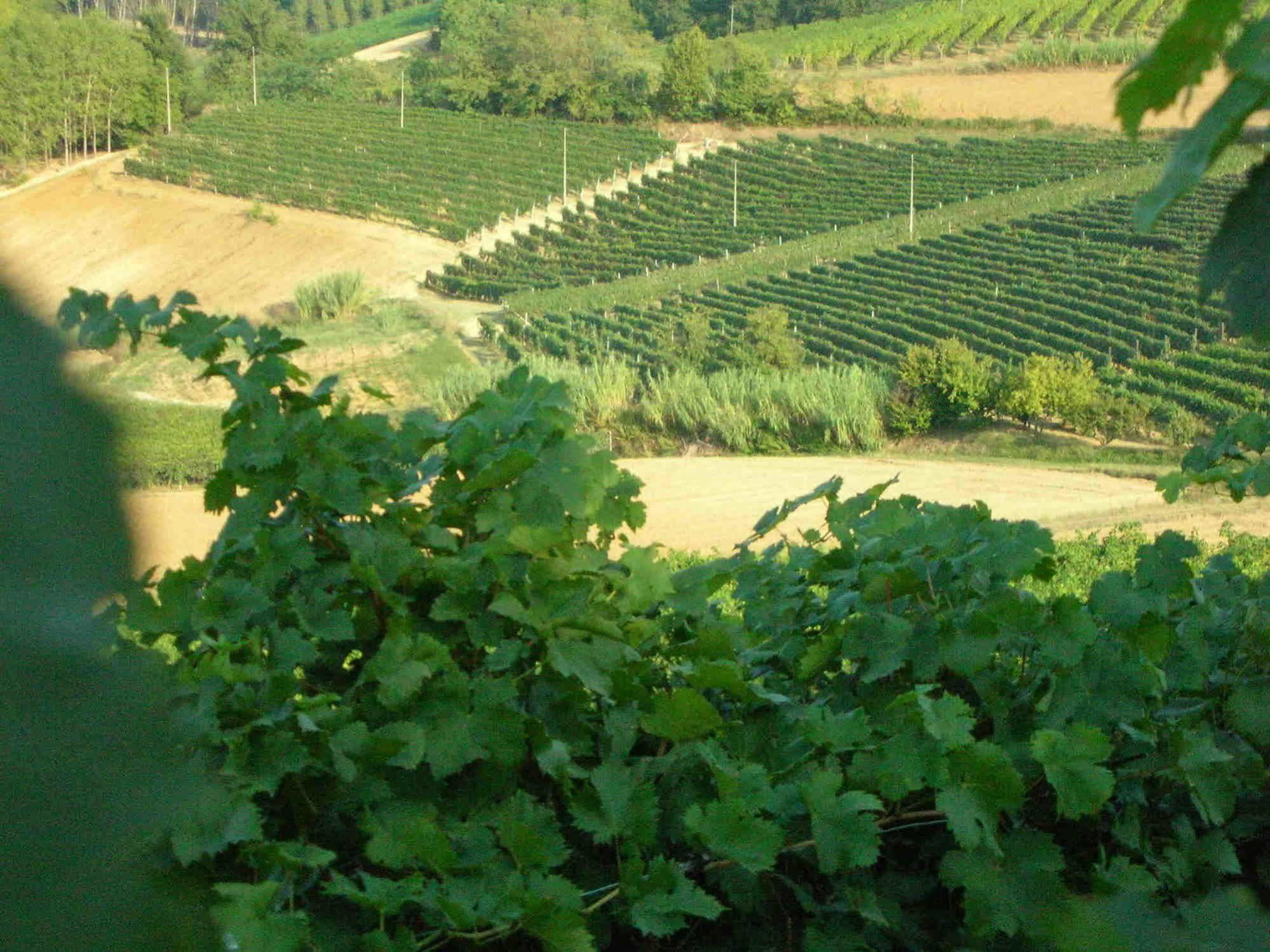 Casa Isabella Guest House Vaglio Serra Bagian luar foto